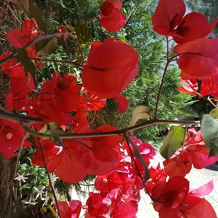 Erry Bed and Breakfast