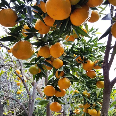 Alojamento de Acomodação e Pequeno-almoço Erry