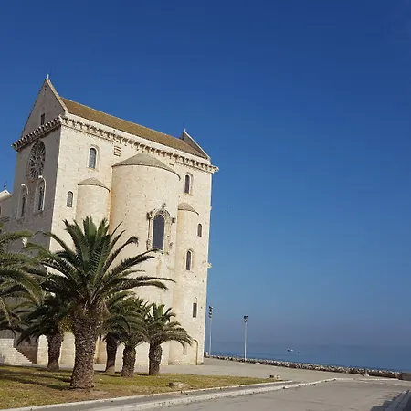 Erry Trani