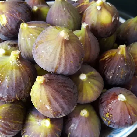 Erry Bed & Breakfast Trani