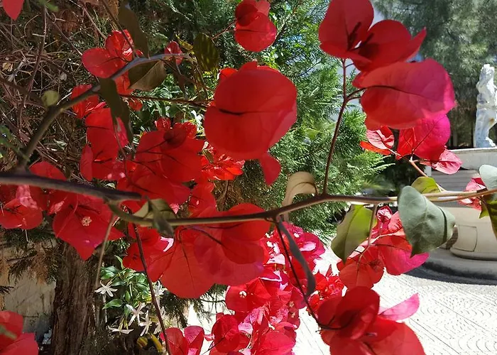 Erry לינה וארוחת בוקר